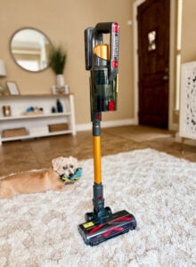 techrise stick vac