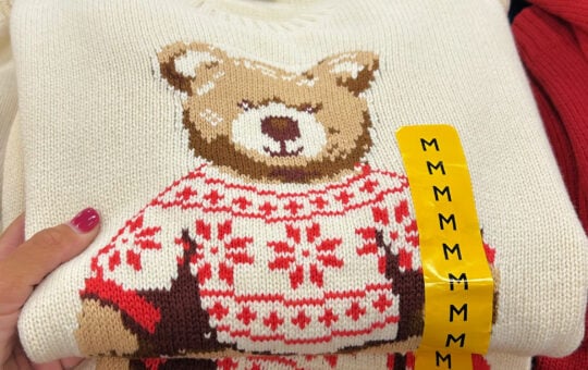 teddy bear sweater