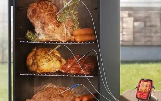 thermapro meat thermometer (2)