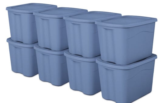 walmart blue tote