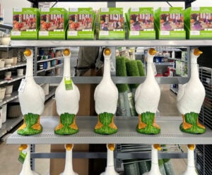 walmart porch geese