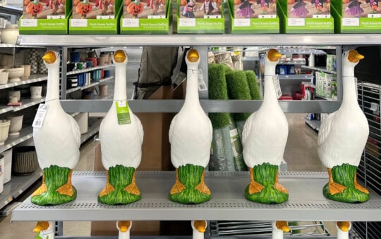 walmart porch geese