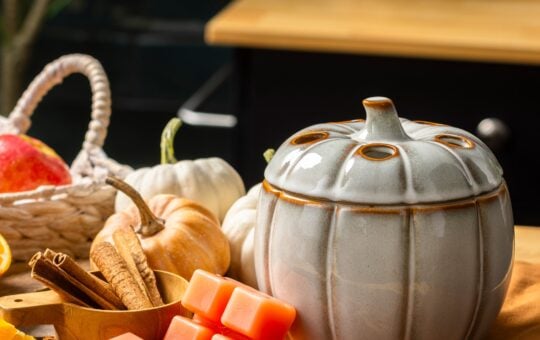 walmart pumpkin wax warmer