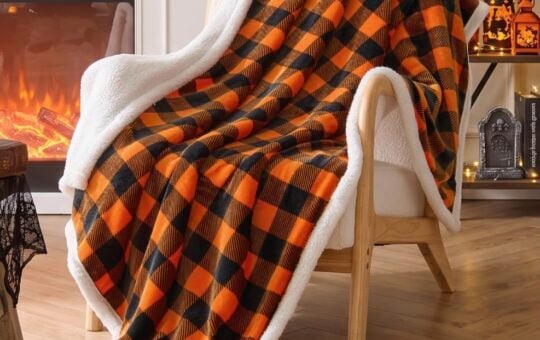 BEDELITE Buffalo Check Sherpa Blanket