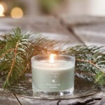 Balsam & Cedar Fireside Mini Candle