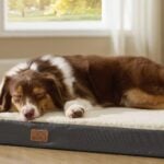 Bedsure Washable Dog Bed