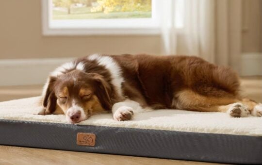 Bedsure Washable Dog Bed