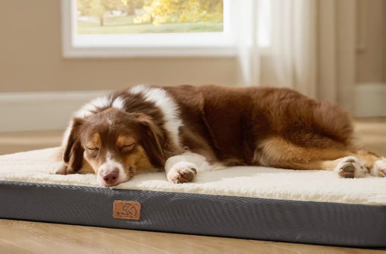 Bedsure Washable Dog Bed Bedsure Washable Dog Bed