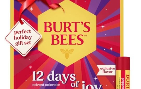 Burt's Bees Holiday Lip Balm Gift Set Advent Calendar
