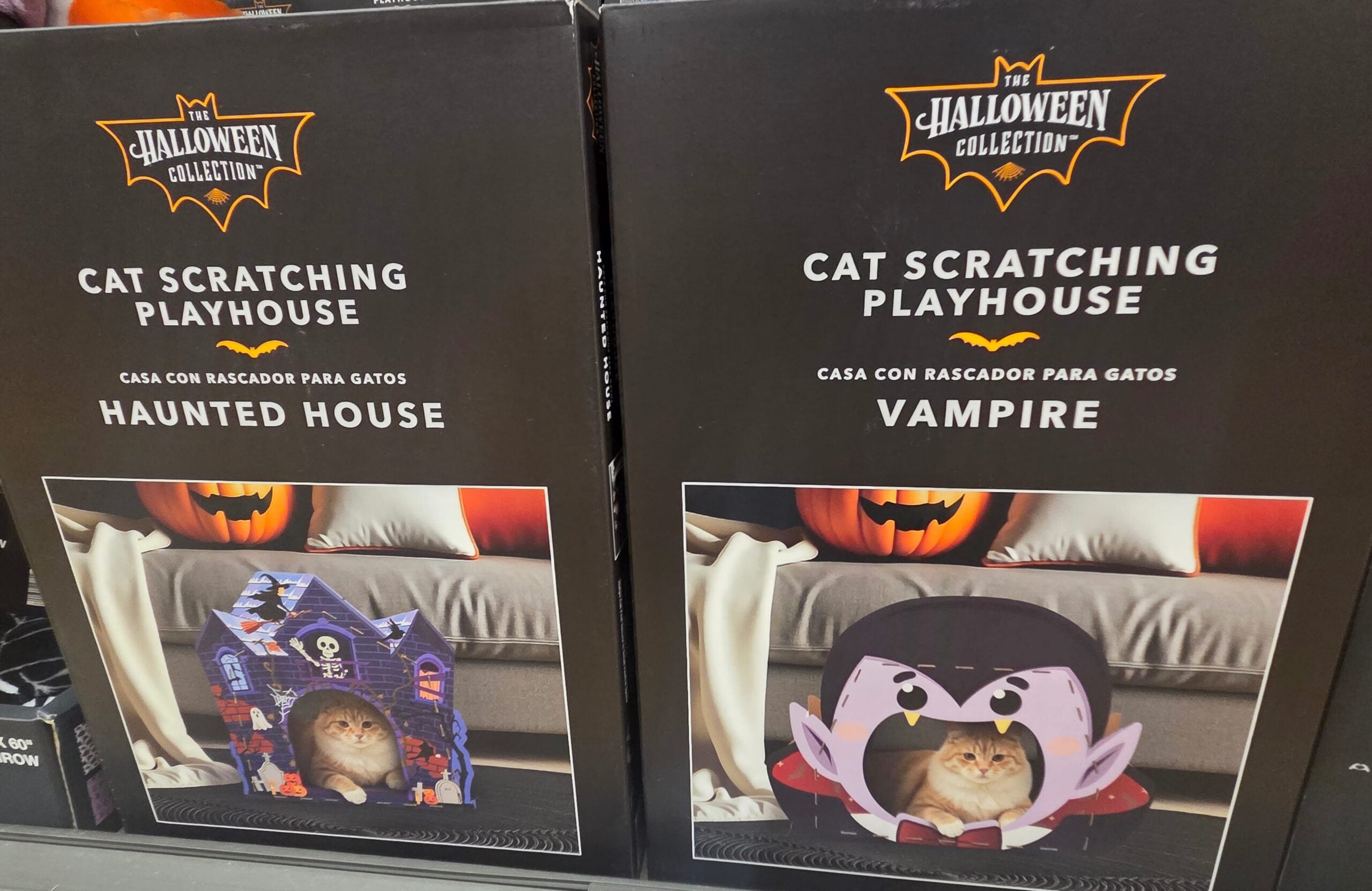Cat Scratching Playhouse 2