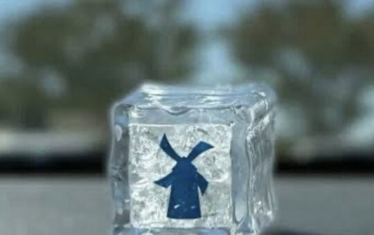 Dutch Bros Ice Cube