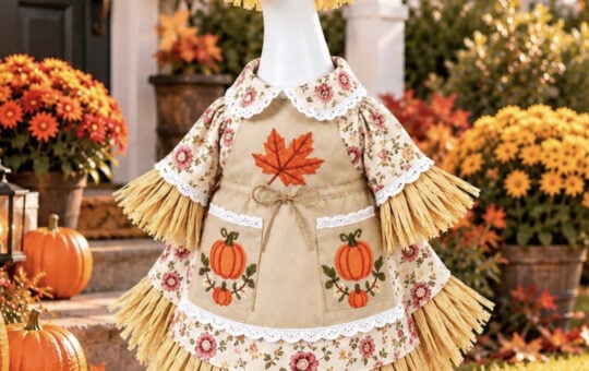 Fall Porch Goose Outfit, Thanksgiving Porch Goose Scarecrow Outfit