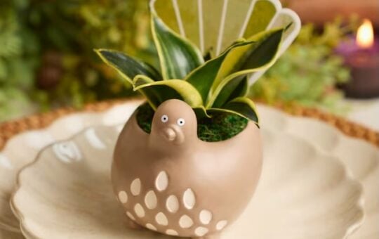 LiveTrends Gobble Gobble Turkey Planters