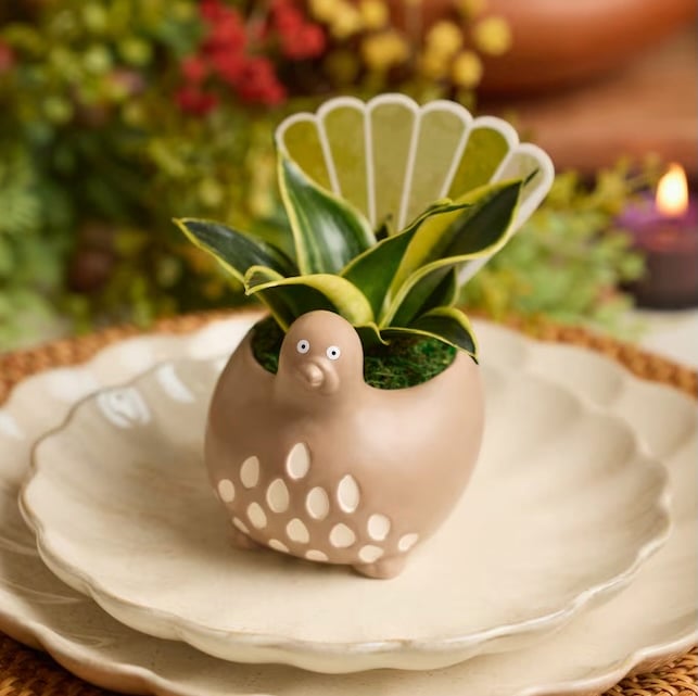 LiveTrends Gobble Gobble Turkey Planters