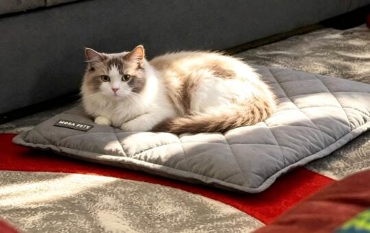 Mora Pets Self Heating Pet Bed
