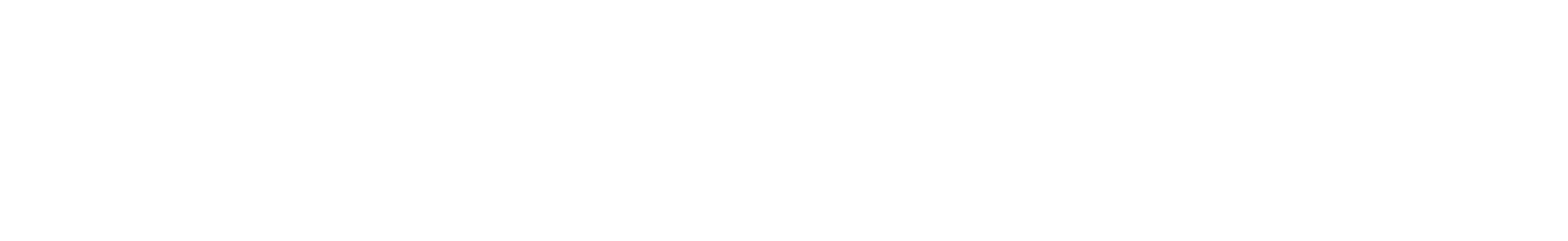 PPP Logo Update White