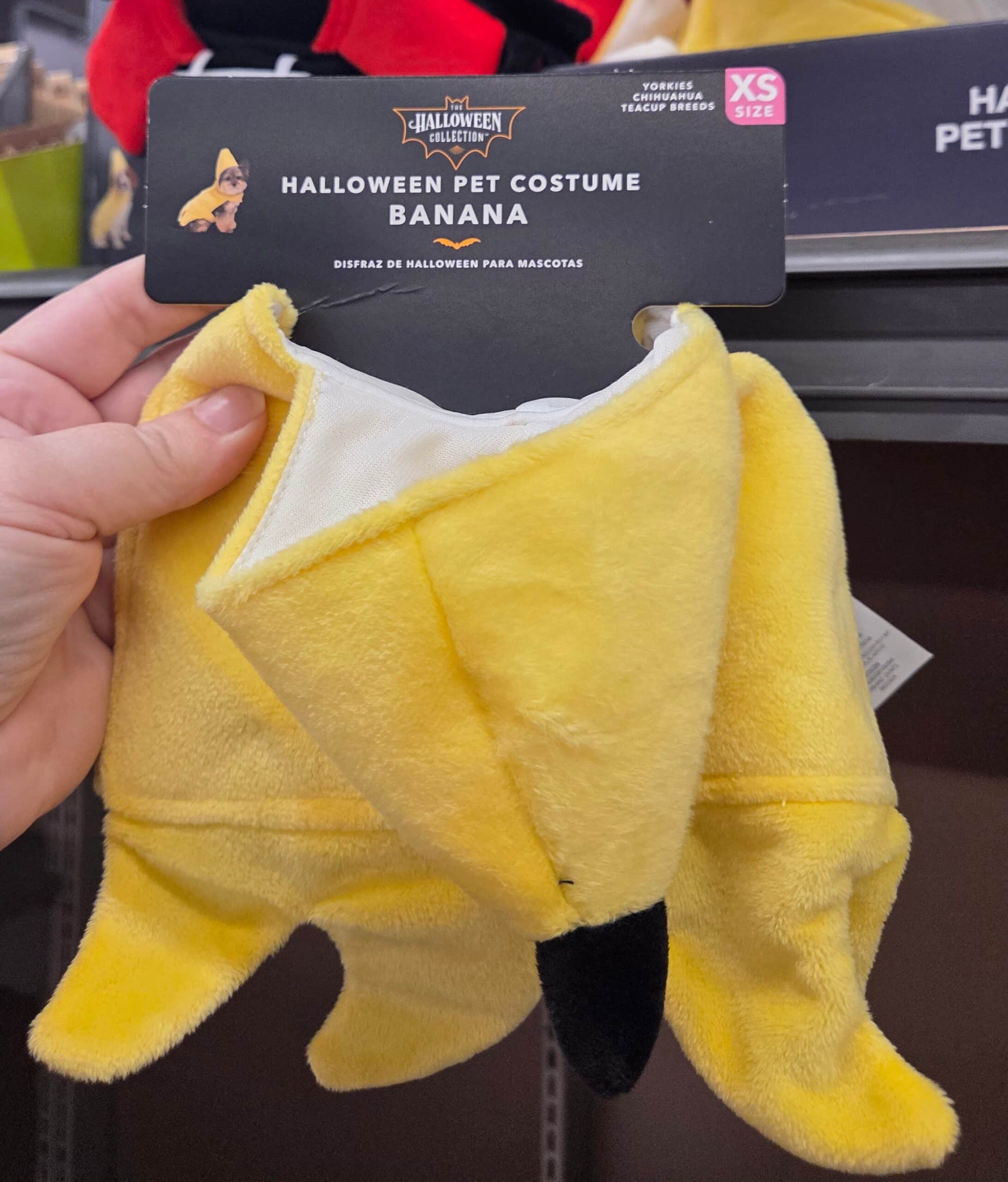 Pet Costume 2