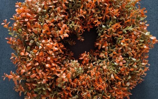 U'Artlines Fall Wreath