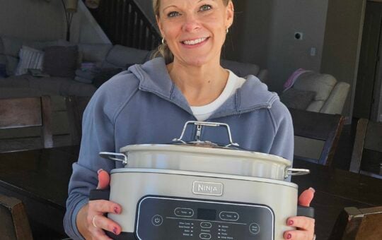 ashley ninja slowcooker