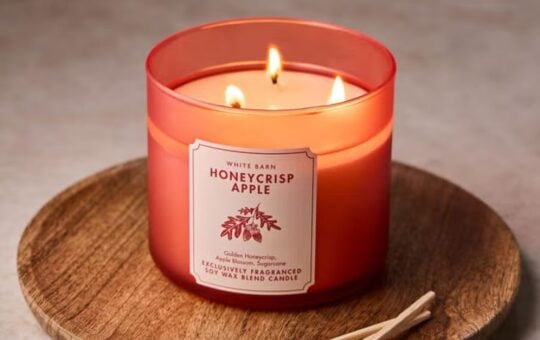 bath body works candle (8)