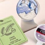 bath body works car fragrance (4)