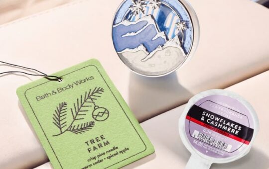 bath body works car fragrance (4)