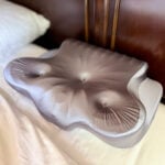 cervical pillow mary