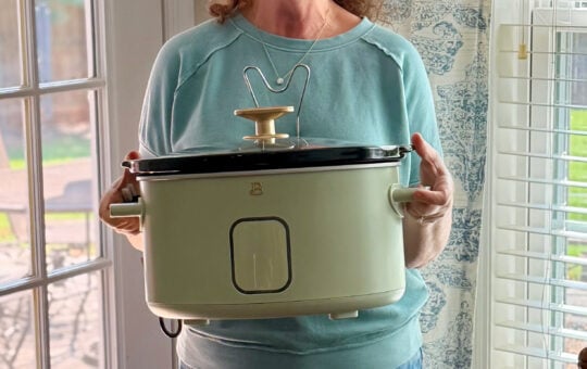 cheree beautiful slow cooker