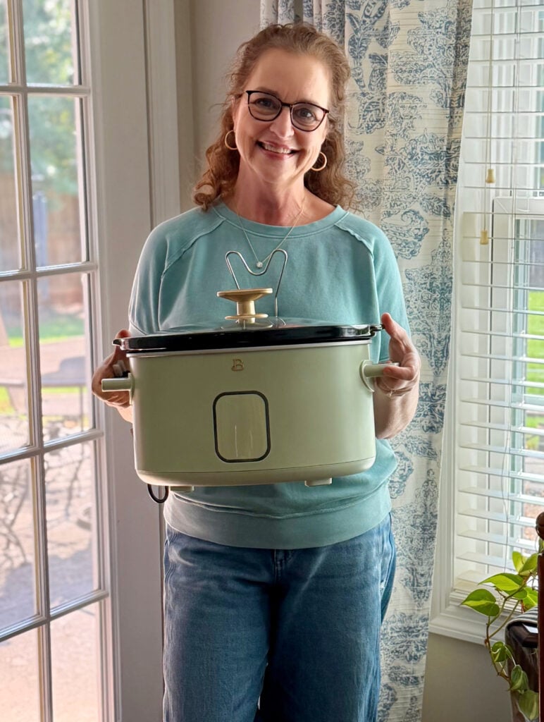 cheree beautiful slow cooker
