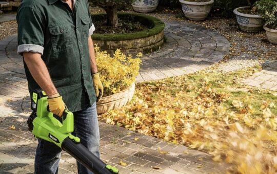cordless leaf blower