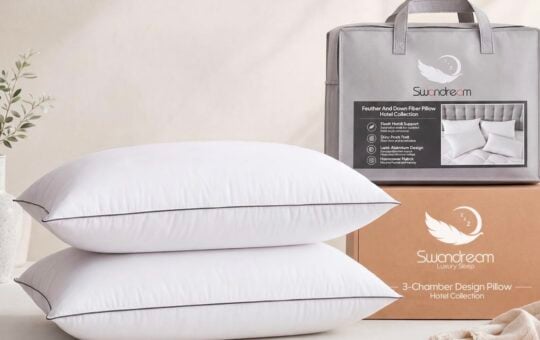 down goose feather pillows swandream 2 pack