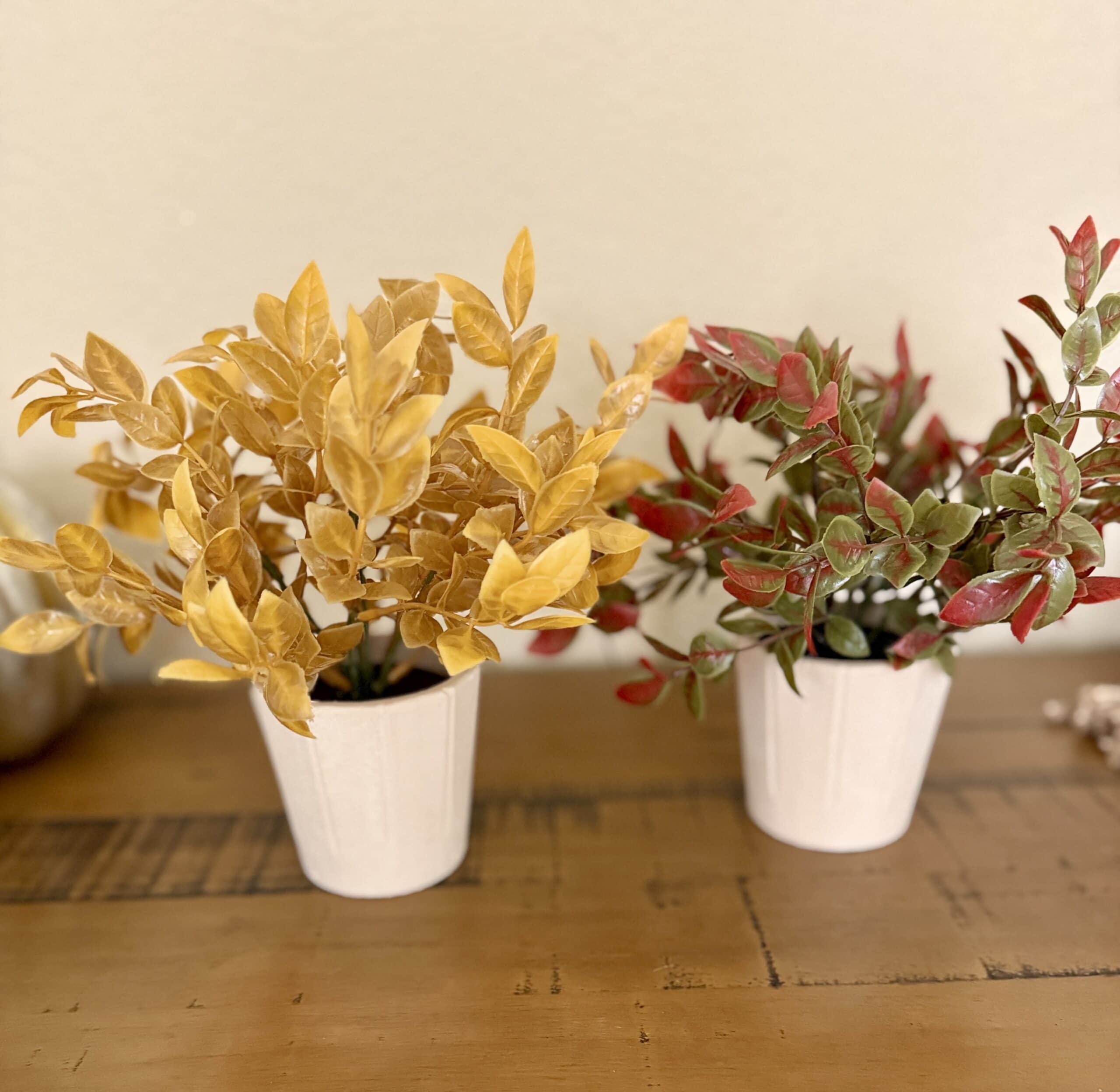 fall potted plants