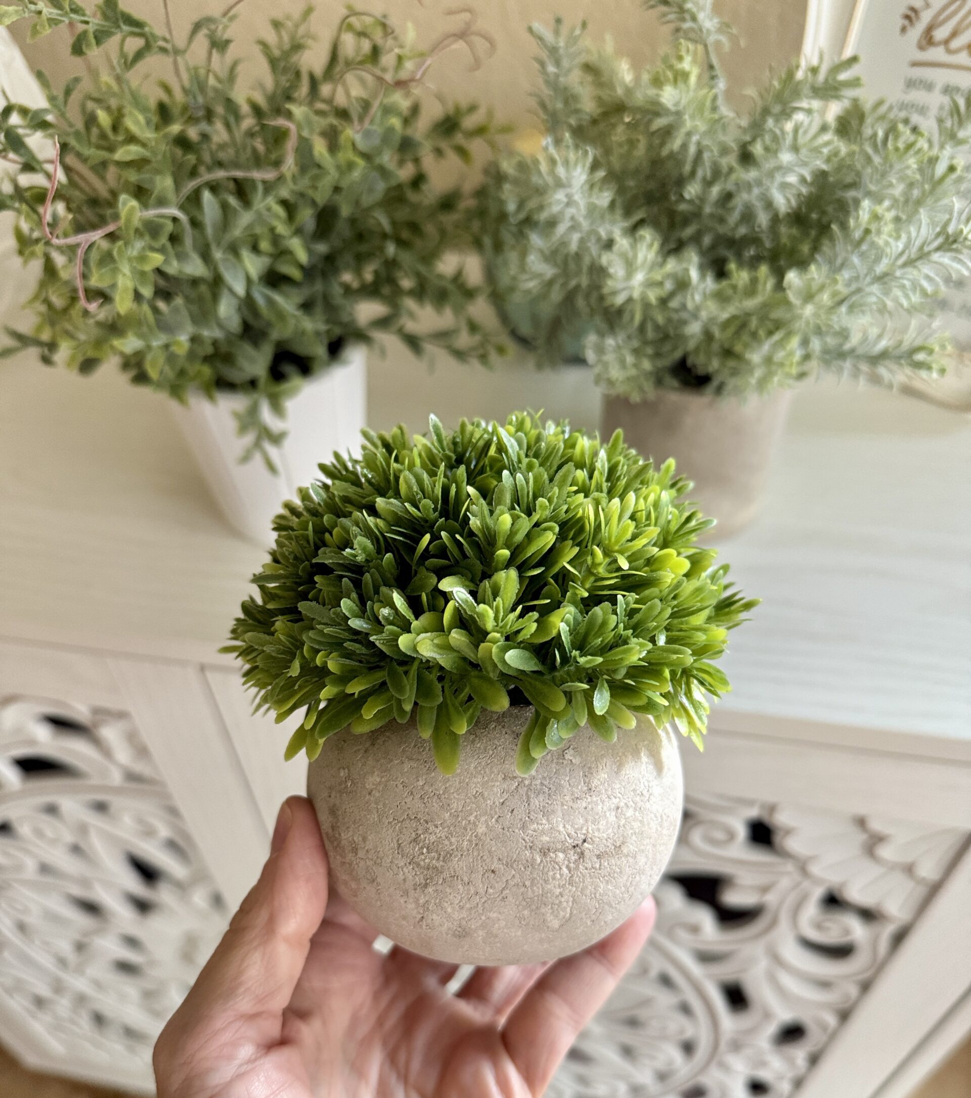 farmhouse plants