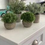 faux plants review