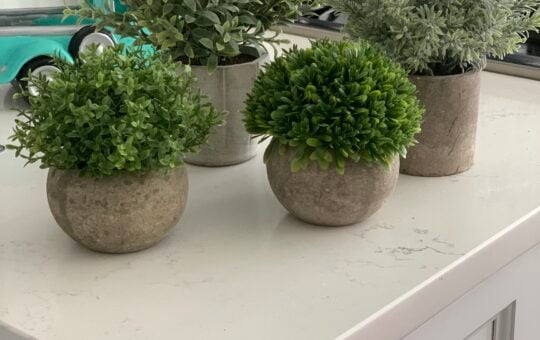 faux plants review