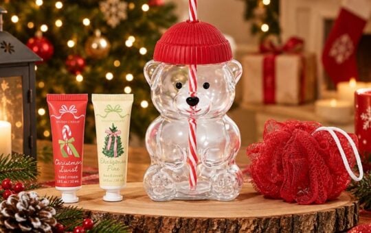 kohls bears cup (1)