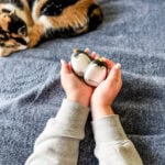 penguin hand warmers