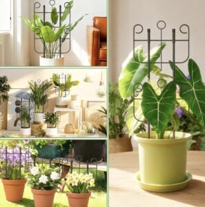 plant trellis
