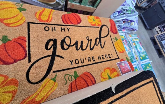 sams doormat