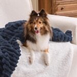 sherpa throw blanket