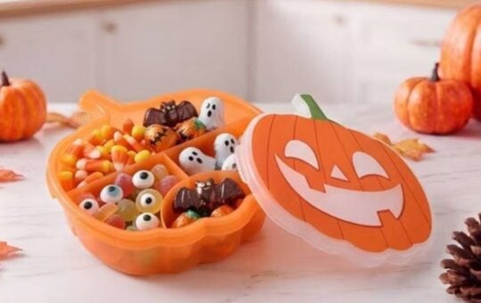 target halloween snack boxes (6)