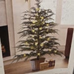 Aldi Cypress Tree