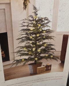 Aldi Cypress Tree