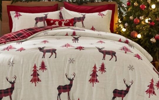 Bedsure Christmas Comforter Set