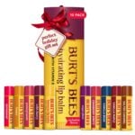 Burt's Bees Lip Balm Mega Holiday Gift Pack