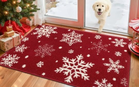 Findosom Christmas Doormat Rug