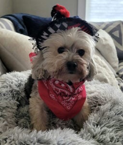 Jessica Dog Costume