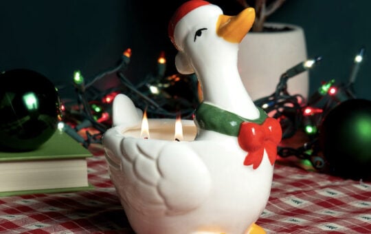 Mainstays 2 Wick Goose Ceramic Candle, Happy Holly Days