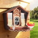 birdster Smart Bird Feeder with Camera