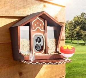 birdster Smart Bird Feeder with Camera